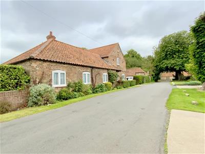 Picture 41